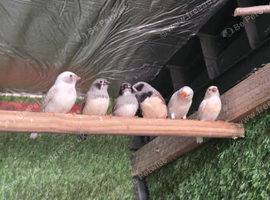Family of 9