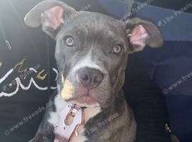 Narla