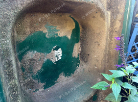 Fish pond for sale