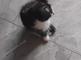 Lovely little boy