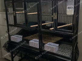 Large 2-Compartment Breeding Cage &ndash; &pound;80
