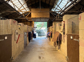 Full Hacking/Retirement/Holiday/Youngstock Livery Spaces