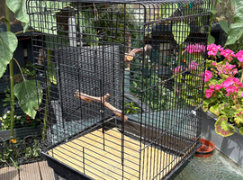 Parakeet / cockatiel cage