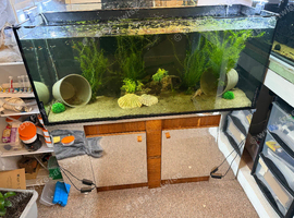 240l tank and stand