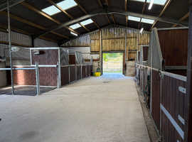 Professional private livery yard and freelance service