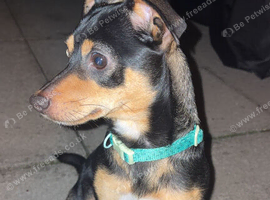 Little rocky