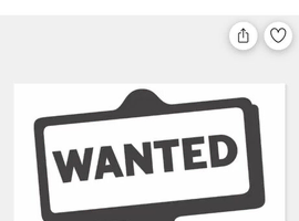 Shetland or small pony wanted