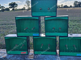 British bird show cages job lot 6