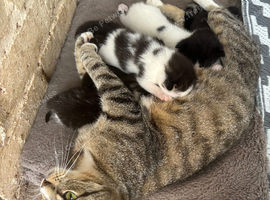 6 beautiful babies