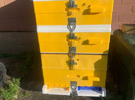 Bee hive with bees