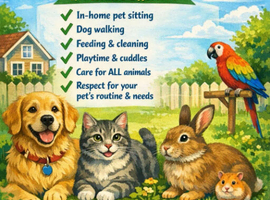 Pet Sitting & Dog Walking