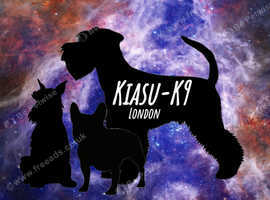 Kiasu-K9 Dog Training