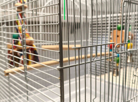 Bird cage