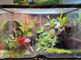 Reptile fish amphibians insects wanted