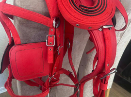 Red webbing harness