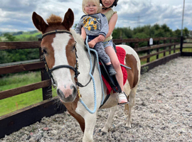 Ride and drive children&rsquo;s pony
