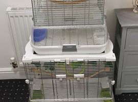 Bird cages  9 cages