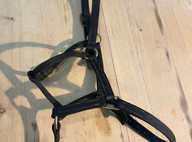 Leather filly slip