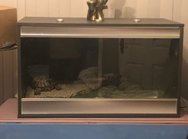 34" vivarium
