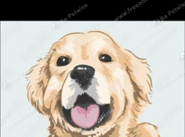 Furbaby wanted