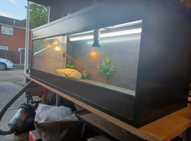 Vivarium LARGE with electrics