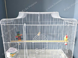 Flight cage  n stand