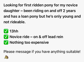 Looking for a cheap novice pony for my daughter