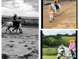 Cute lead rein pony