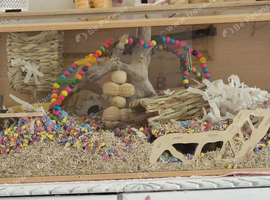 Hamster/gerbil/mouse cage + accessories