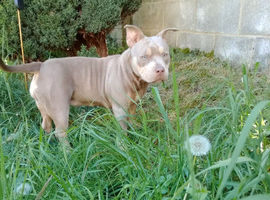 Rehome
