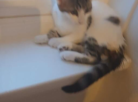 Mother and daughter