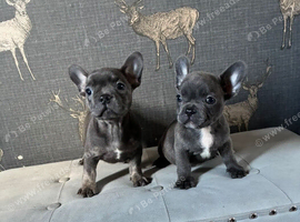 Blue Girl and boy ready to leave Friday