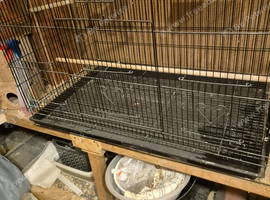 Bird cages