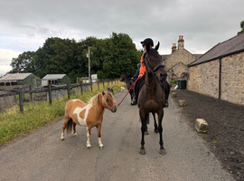 Safe Happy hack and low level allrounder