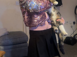 Kittens for sale