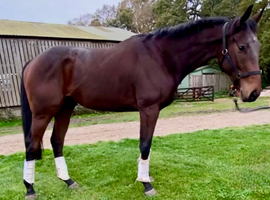 ROR Eligible/ mother daughter share/ Event prospect