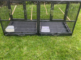 Double Breeder