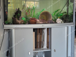 180l tank with stand