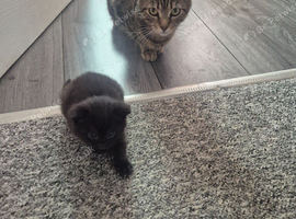 Mother and daughter