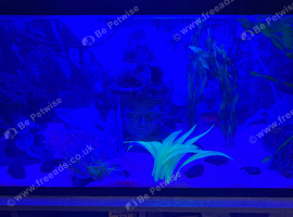 105 litre aquarium and stand