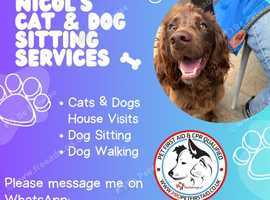 Nicol's Cats and Dogs Sitting Service
