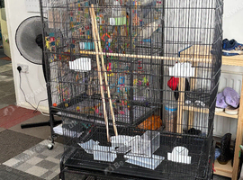 Large bird cage and play gym