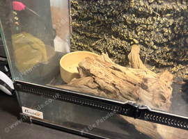 Reptile Viv for sale