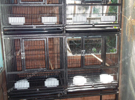 DOUBLE FLIGHT/BREEDING CAGE