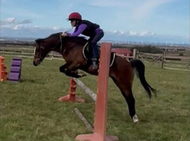 Poppy the Pocket Rocket