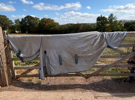 6ft3 fly rug