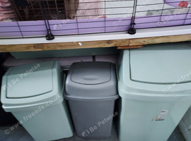 Guinea pig cage