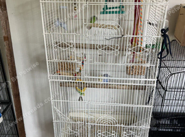 Bird cage decent size white colour