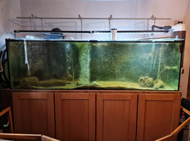 1200L fish tank - with accessories - will be fully cleaned/emptied