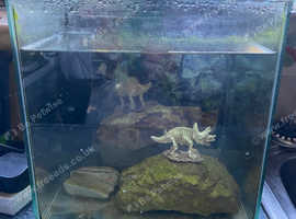 Fish tank for sale